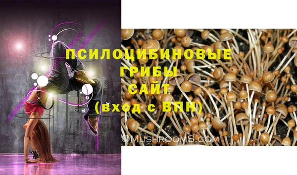 дурь Белокуриха