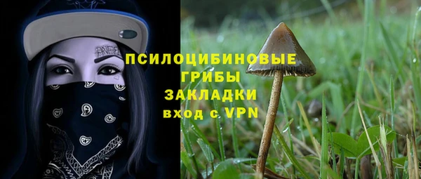 прущие грибы Беломорск