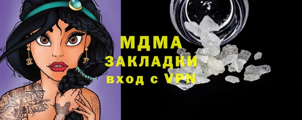 прущие грибы Беломорск