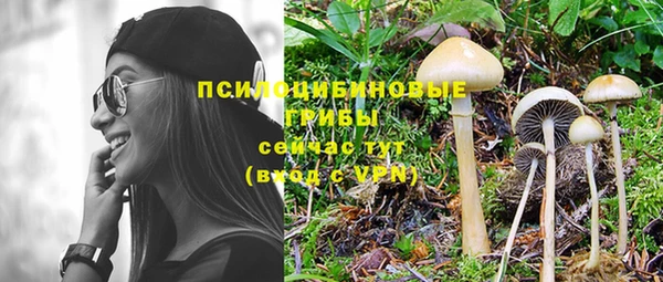 дурь Белокуриха