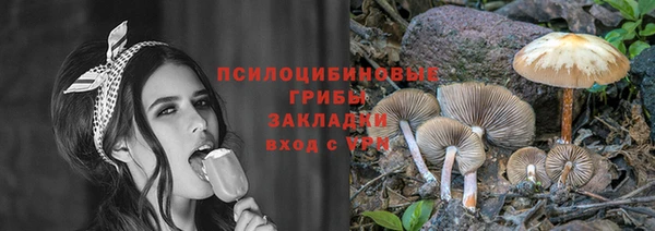 дурь Белокуриха