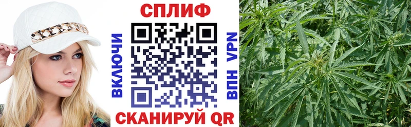Бошки Шишки планчик  omg ссылка  Кубинка  сколько стоит 